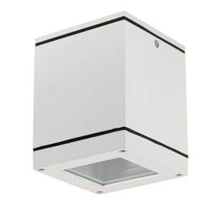 Sigma Wit plafondspot