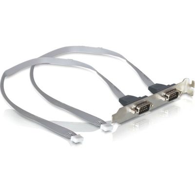 DeLOCK Slot bracket 2x Serieel controller