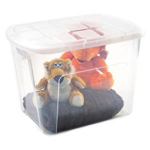 Plasticforte opberg kist met deksel - Box - 75 liter - 60 x 42 x 43 cm - kunststof - transparant