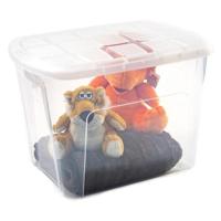 Plasticforte opberg kist met deksel - Box - 75 liter - 60 x 42 x 43 cm - kunststof - transparant Plasticforte opberg kist met deksel - Box - 75 liter - 60 x 42 x 43 cm - kunststof - transparant