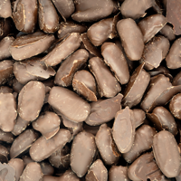 chocolade dadels puur 4 kg doos chocolade dadels puur 4 kg doos