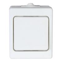 Schakelaar met 2 polen Kopp