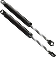 Raaco Gasdruk cilinder, set a 2 stuks - 144124 144124 Raaco Gasdruk cilinder, set a 2 stuks - 144124 144124