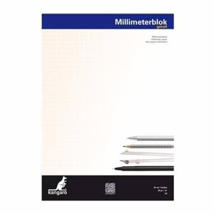 Blok millimeter papier - A3 formaat - met 25 grote vellen - ruitjes papier - wiskunde