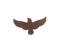 Wanddeco ijzer vogel S 23x12x2 5 cm - Buitengewoon de boet Wanddeco ijzer vogel S 23x12x2 5 cm - Buitengewoon de boet