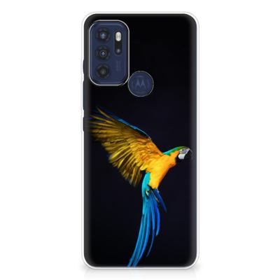 Motorola Moto G60s | TPU Hoesje | Papegaai