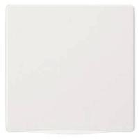 Siemens 5TG1340 Afdekking Delta Wit Schakelmateriaal 1 stuk(s)