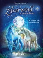 De spiegel van de tovenaar (Hardback)