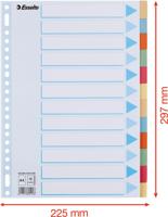 Esselte tabbladen 12 tabs, karton van 275 g/m²