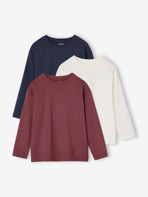 Set van 3 effen T-shirts terracotta