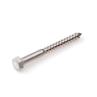 Homefix Houtdraadbout Rvs-A2 Sw-10 Din571 6X50 | 4 stuks - 6701.60.10030
