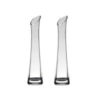 Hakbijl Glass vaas - Set van 2x stuks - 25 x 6 cm - flute model - transparant - bloemenvaas