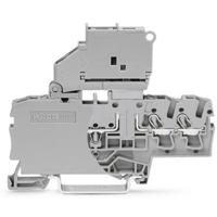 WAGO 2002-1711/1000-542 Zekeringklem 3-etages 6.20 mm Push-In-klem Grijs 50 stuk(s)