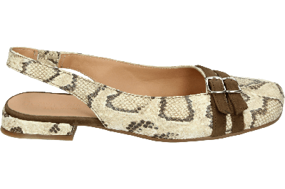 Donna Carolina 57294418 - alle