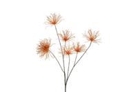 Kunstbloem Grevillea M lichtbruin Countryfield - Countryfield