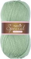 Stylecraft Special dk 1834 Lincoln