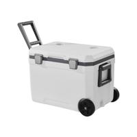 VEVOR draagbare geïsoleerde koelbox met bekerhouder 45 liter (64 blikjes) VEVOR draagbare geïsoleerde koelbox met bekerhouder 45 liter (64 blikjes)