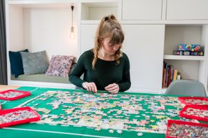 Jumbo puzzel sorteerderbakjes