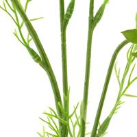 Cosmos Bibi cream 77 cm kunstbloem Erutan Avon - Erutan avon