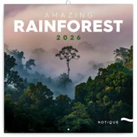 Amazing Rainforest Kalender 2026