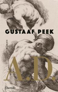 A.D. (Hardback)