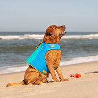 Ruffwear Hondenzwemvest Float Coat, blauw, Maat: XS