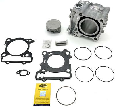 Magneti Marelli Cylinder sets magn marell 300 ccm 4t std