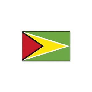 Landen thema vlag Guyana 90 x 150 cm feestversiering