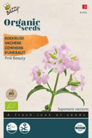 Organic Saponaria, Koekruid Pink Beauty BIO - Buzzy