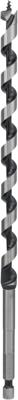 Bosch Accessoires Houtslangenboor, zeskant 10 x 160 x 235 mm, d 6,35 mm 1st - 2608597624