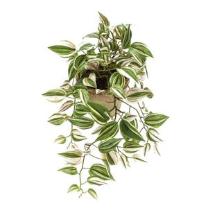 Groene Tradescantia/vaderplant kunstplanten 50 cm met pot   -