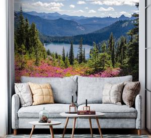 Fotobehang natuur Bos met zonneflits en paarse bloemen