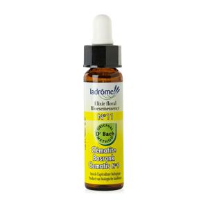 Ladrome Clematis/bosrank 11 bio