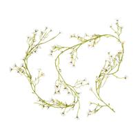 Slinger bloemen margriet - wit/geel - 210 cm