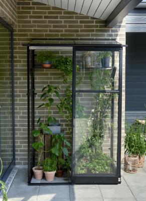 Muurkas Qube Lean-to 24 Halls Greenhouses Royal Well - Royal well