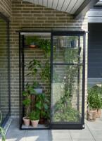 Muurkas Qube Lean-to 24 Halls Greenhouses Royal Well - Royal well