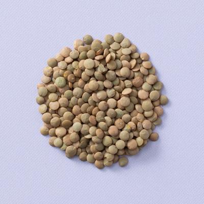 Groene linzen (bio) 700 gram