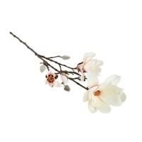 Kunstbloem Magnolia Chayca Creme M