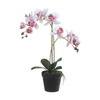 Orchidee bloemen kunstplant in pot - bloemen/bloemetjes - wit/roze/groen - H52 cm - thumbnail