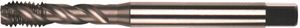 Rotec HSSE 800 M.Tap DIN 371-C/35°M10 - 330.1000C