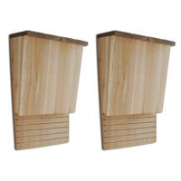 VidaXL Vleermuizenkasten 2 st 22x12x34 cm