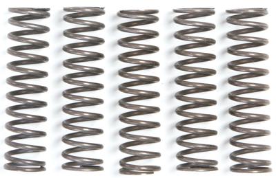 TRW Clutch spring kit mef105-5