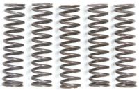 TRW Clutch spring kit mef105-5