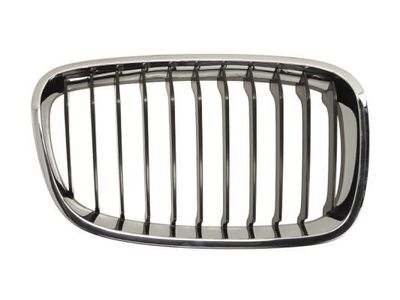 Radiateurgrille 6502070086992P