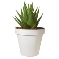 Pro Garden Bloempot - wit - rond - D20 cm - kunststof - plantenpot - tuin buiten