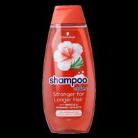 Shampoo long hair 400 Milliliter