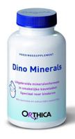 Dino minerals