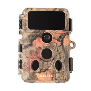 Caruba Wildcamera Moose 4K