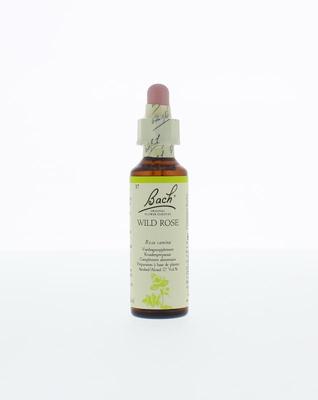 Bach Wild rose/hondsroos
