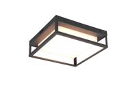 Trio Led plafondlamp Witham voor buiten 677860142 - thumbnail